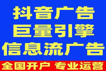 实战技巧：竞价推广案例解析与优化策略